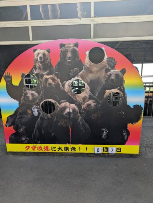 ヒグマだらけの顔はめパネル-登別